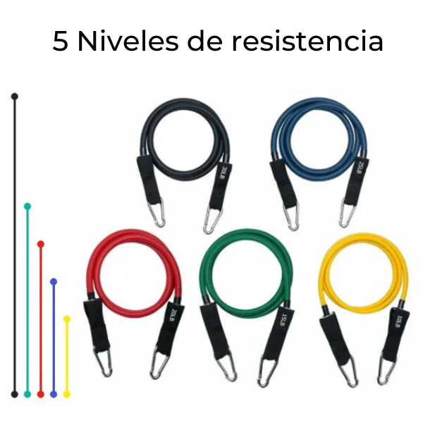 Diferentes niveles de resistencia de las gomas elásticas